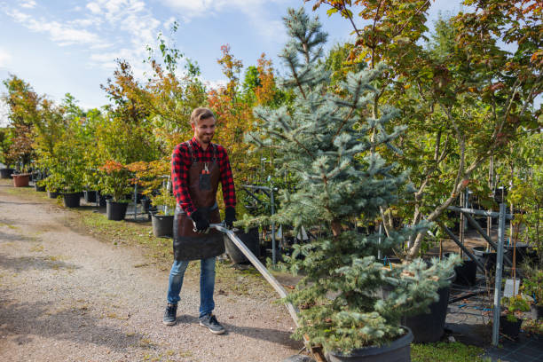 Mulching Services in Slater, IA